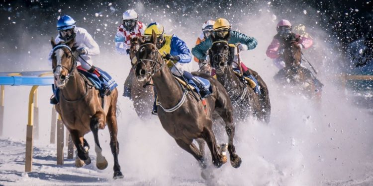 Construa um império metaverso de corridas de cavalos – NFT News Today