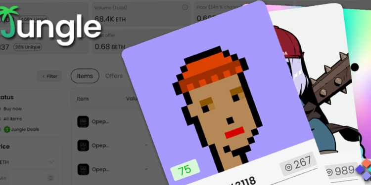 Jungle NFT Marketplace Secures $16 Million