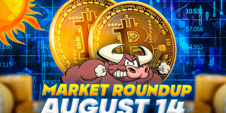 Previsão de preço do Bitcoin: ex-insider da SEC expressa preocupações sobre o BTC ETF em meio a impasse regulatório