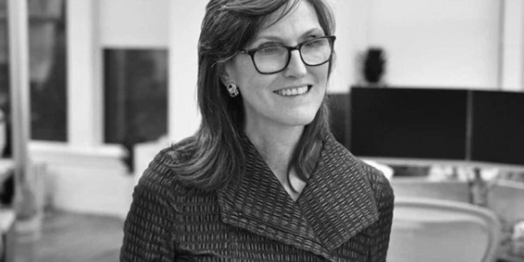 Bitcoin poderia ver um "Bela Lesma" do valor patrimonial do ouro: CEO da ARK