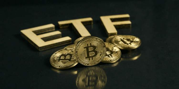 CoinShares exerce opção para adquirir fundos Valkyrie após aprovação do ETF Spot Bitcoin