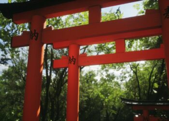 ‘Lushfoil Photography Sim’ confirma o suporte a VR “Soon”