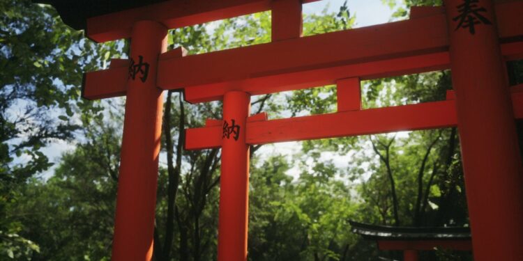 ‘Lushfoil Photography Sim’ confirma o suporte a VR “Soon”