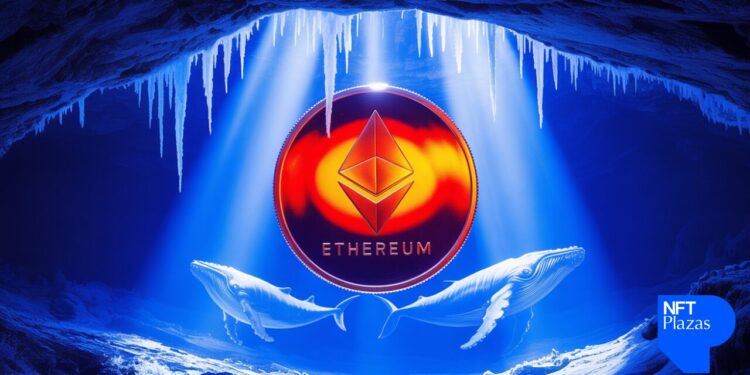 Baleias Ethereum e alta potencial de preços do sinal Binance