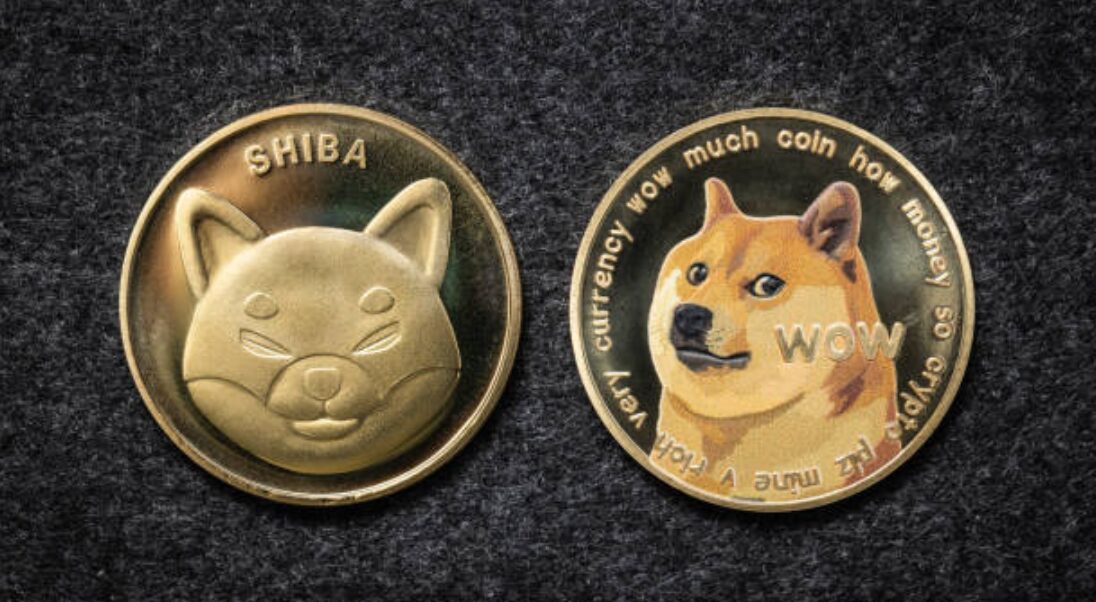 Shiba Inu vs Dogecoin – Principais diferenças