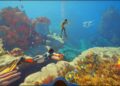 Desenvolvedores de ‘Subnautica 2’: não prenda a respiração para obter suporte oficial de VR