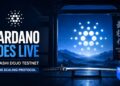 Cardano vai ao vivo com Musashi Dojo